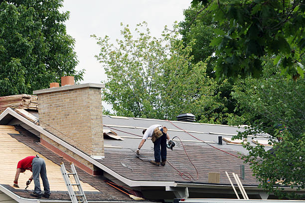 Best Roof Gutter Cleaning  in June Park, FL
